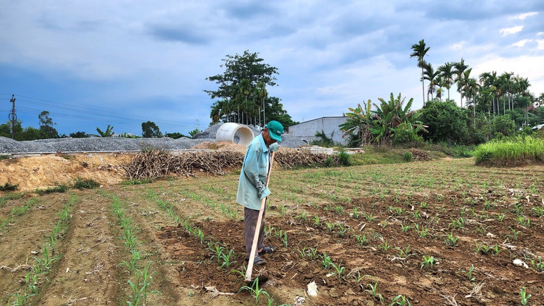 Nguy cơ vỡ tiến độ dự &aacute;n đường 700 tỷ ở Quảng Ng&atilde;i- Ảnh 4.