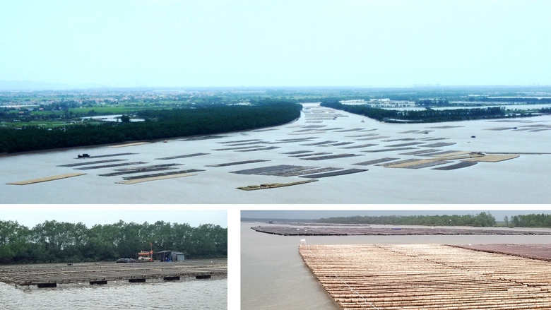 Hải Ph&ograve;ng: Lồng b&egrave; bủa v&acirc;y, uy hiếp t&agrave;u thuyền tr&ecirc;n s&ocirc;ng Bạch Đằng- Ảnh 1.