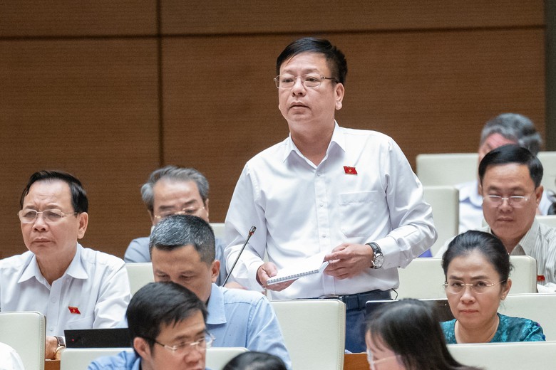 Đại biểu Quốc hội: Quy định tr&aacute;ch nhiệm đấu gi&aacute; kh&ocirc;ng r&otilde;, rất dễ mất c&aacute;n bộ- Ảnh 1.