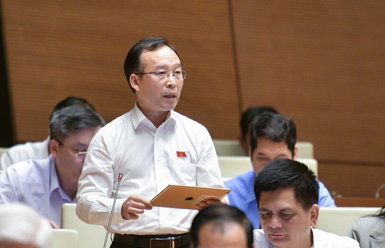 Đại biểu Quốc hội: Quy định tr&aacute;ch nhiệm đấu gi&aacute; kh&ocirc;ng r&otilde;, rất dễ mất c&aacute;n bộ- Ảnh 2.