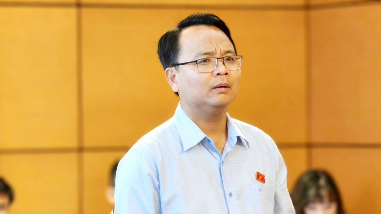 Đại biểu Quốc hội: Quy định chồng chéo, liệu cán bộ có dám nhắm mắt làm?- Ảnh 3. Đại biểu Quốc hội: Quy định chồng chéo, liệu cán bộ có dám nhắm mắt làm?- Ảnh 3.