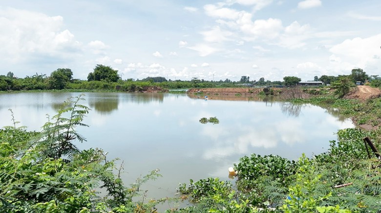 An Giang: Xác minh nghi vấn lợi dụng nạo vét ao cá để khai thác cát trái phép- Ảnh 2. An Giang: Xác minh nghi vấn lợi dụng nạo vét ao cá để khai thác cát trái phép- Ảnh 2.