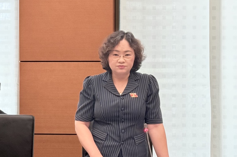 Đại biểu Quốc hội: Quy định chồng chéo, liệu cán bộ có dám nhắm mắt làm?- Ảnh 1. Đại biểu Quốc hội: Quy định chồng chéo, liệu cán bộ có dám nhắm mắt làm?- Ảnh 1.