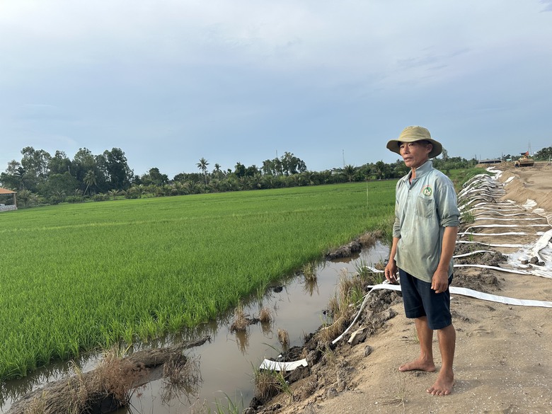 L&agrave;m r&otilde; nguy&ecirc;n nh&acirc;n thi c&ocirc;ng cao tốc Hậu Giang - C&agrave; Mau l&agrave;m ảnh hưởng l&uacute;a của d&acirc;n- Ảnh 2.