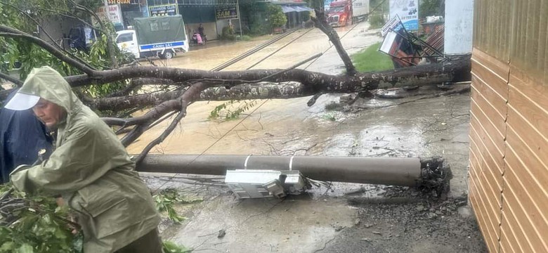 L&acirc;m Đồng: Mưa lớn k&egrave;m gi&oacute; giật mạnh khiến c&acirc;y đổ, tắc nhiều tuyến đường- Ảnh 1.