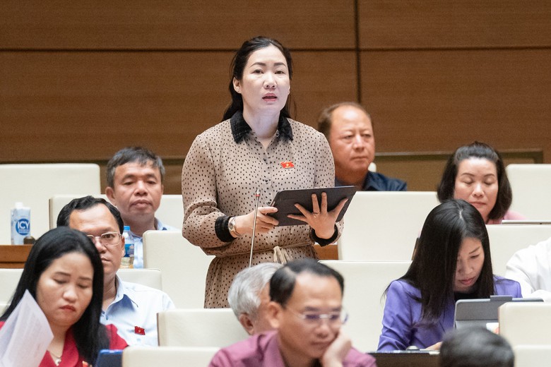 ĐBQH: Đội máy bay hùng mạnh là sức mạnh quốc gia, cần có chính sách hỗ trợ hàng không- Ảnh 2. ĐBQH: Đội máy bay hùng mạnh là sức mạnh quốc gia, cần có chính sách hỗ trợ hàng không- Ảnh 2.