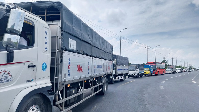 Cần Thơ: Sạt lở tr&ecirc;n QL80 g&acirc;y &ugrave;n tắc k&eacute;o d&agrave;i- Ảnh 3.