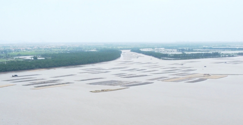 Hải Phòng di dời xong các lồng bè trái phép trên sông Bạch Đằng- Ảnh 2. Hải Phòng di dời xong các lồng bè trái phép trên sông Bạch Đằng- Ảnh 2.