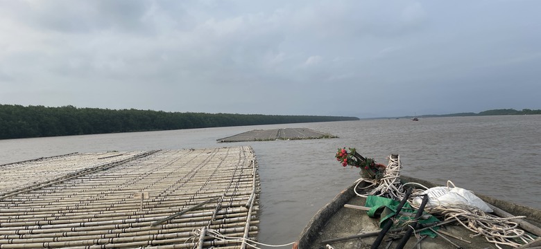 Hải Phòng di dời xong các lồng bè trái phép trên sông Bạch Đằng- Ảnh 1. Hải Phòng di dời xong các lồng bè trái phép trên sông Bạch Đằng- Ảnh 1.