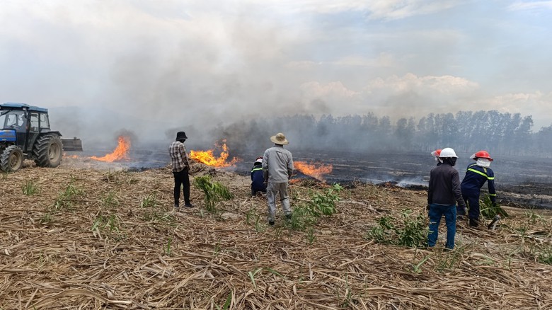 Kh&aacute;nh H&ograve;a: 45ha m&iacute;a của d&acirc;n bị lửa rừng thi&ecirc;u trụi- Ảnh 1.