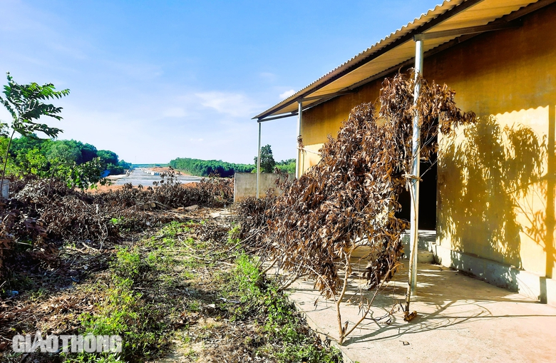 Nh&agrave; thầu đồng loạt s&aacute;ng đ&egrave;n đua tiến độ cao tốc Vạn Ninh - Cam Lộ- Ảnh 10.