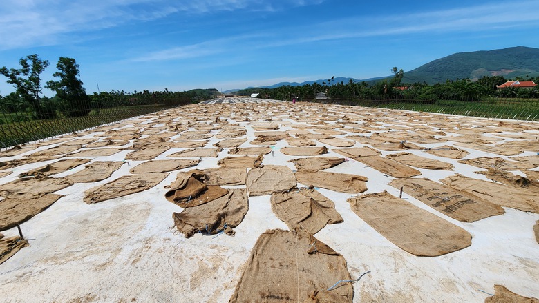 Ngắm cầu trăm tỷ d&agrave;i nhất cao tốc Quảng Ng&atilde;i - Ho&agrave;i Nhơn vừa hợp long- Ảnh 9.