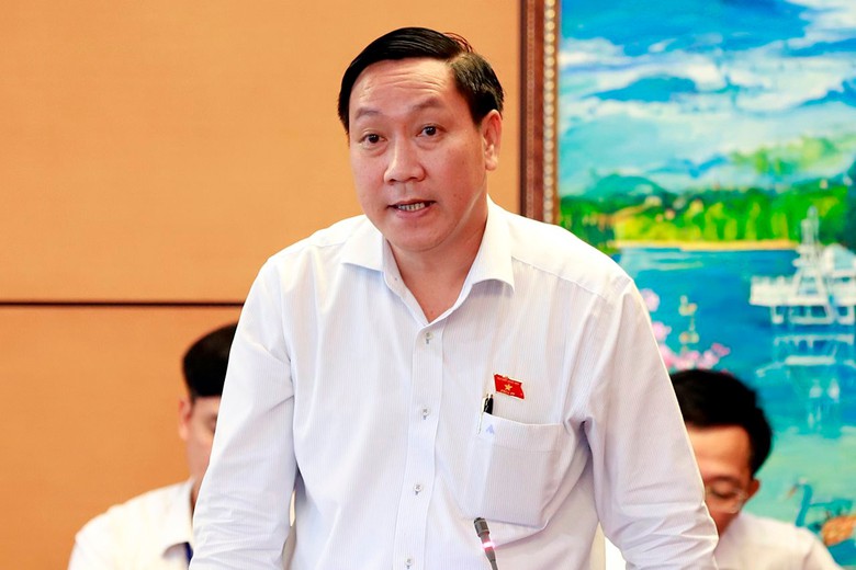 Đại biểu Quốc hội kỳ vọng tư lệnh ng&agrave;nh trả lời chất vấn c&oacute; tr&aacute;ch nhiệm, thấu đ&aacute;o- Ảnh 2.