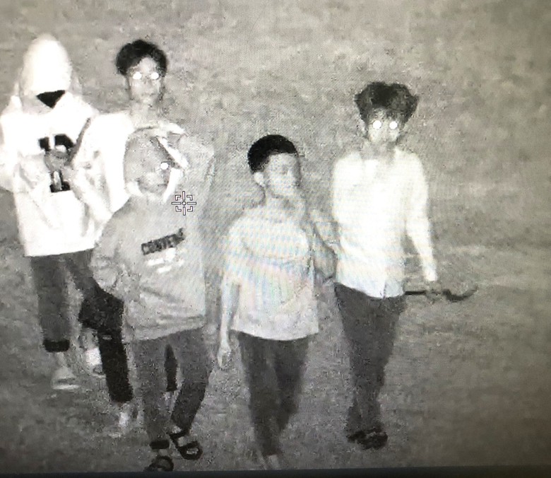 Bắt "n&oacute;ng" nh&oacute;m người n&eacute;m đ&aacute; từ cầu vượt xuống cao tốc Cam L&acirc;m - Vĩnh Hảo- Ảnh 1.