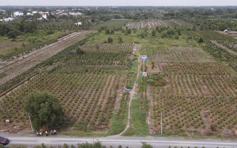 Người d&acirc;n sững sờ khi biết Unicons tự nhận 21 thửa đất trồng mai l&agrave; 'b&atilde;i đổ thải hợp ph&aacute;p'