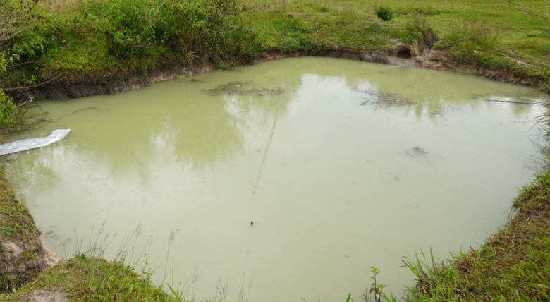 Ng&atilde; xuống ao, hai anh em ruột đuối nước thương t&acirc;m- Ảnh 1.