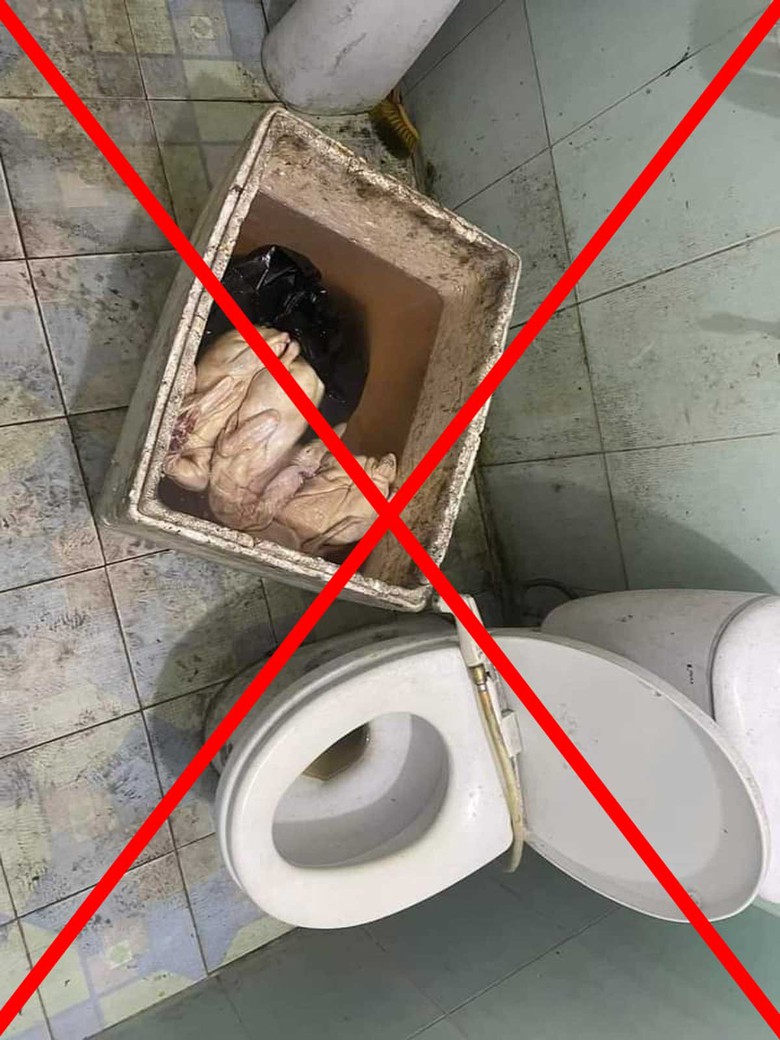 Vụ vịt có giòi, để cạnh bồn cầu ở Quảng Ninh là thông tin bịa đặt- Ảnh 4. Vụ vịt có giòi, để cạnh bồn cầu ở Quảng Ninh là thông tin bịa đặt- Ảnh 4.