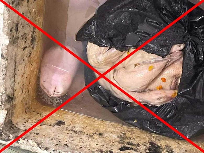 Vụ vịt có giòi, để cạnh bồn cầu ở Quảng Ninh là thông tin bịa đặt- Ảnh 1. Vụ vịt có giòi, để cạnh bồn cầu ở Quảng Ninh là thông tin bịa đặt- Ảnh 1.