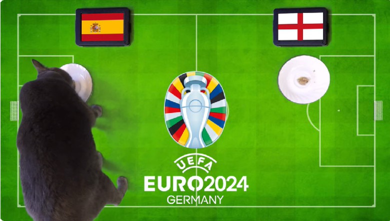 M&egrave;o ti&ecirc;n tri dự đo&aacute;n kết quả trận T&acirc;y Ban Nha vs Anh: H&uacute;c bay &ldquo;Sư tử&rdquo;?- Ảnh 1.