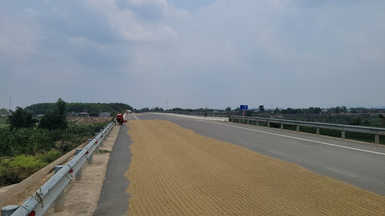 Chậm giải phóng mặt bằng, cán bộ Kon Tum sẽ bị điều chuyển công tác- Ảnh 1. Chậm giải phóng mặt bằng, cán bộ Kon Tum sẽ bị điều chuyển công tác- Ảnh 1.