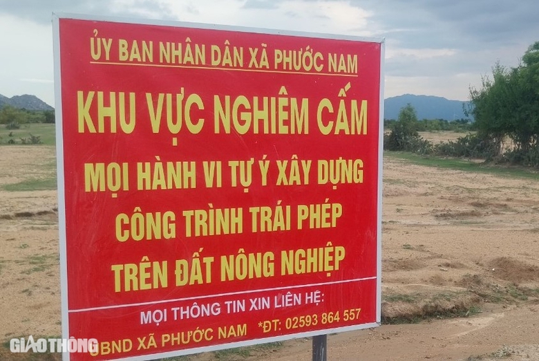 Đường nối QL1 ra trục đường ven biển Ninh Thuận chạy đua về đ&iacute;ch- Ảnh 3.