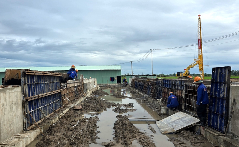 Hơn nửa triệu khối cát về cao tốc qua Cần Thơ, tiến độ thi công tăng từng ngày- Ảnh 2. Hơn nửa triệu khối cát về cao tốc qua Cần Thơ, tiến độ thi công tăng từng ngày- Ảnh 2.