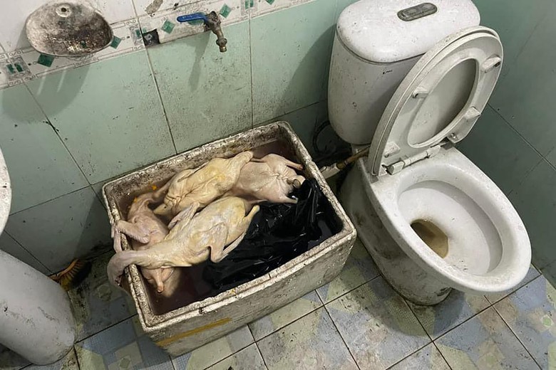 X&aacute;c minh vụ qu&aacute;n ăn bị tố d&ugrave;ng vịt c&oacute; gi&ograve;i, để cạnh bồn cầu ở TX Đ&ocirc;ng Triều- Ảnh 2.