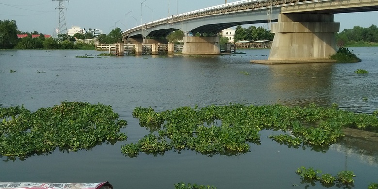 Long An chuẩn bị x&acirc;y đường dẫn hơn 3.000 tỷ đồng cho ba c&acirc;y cầu - Ảnh 1.