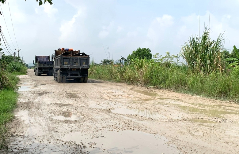 Quảng Ninh: Đường cứu hộ đê nát như ruộng cày vì xe tải trọng lớn- Ảnh 3. Quảng Ninh: Đường cứu hộ đê nát như ruộng cày vì xe tải trọng lớn- Ảnh 3.