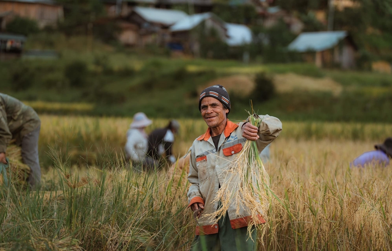 M&ugrave;a v&agrave;ng tr&ecirc;n cao nguy&ecirc;n Măng Đen- Ảnh 5.