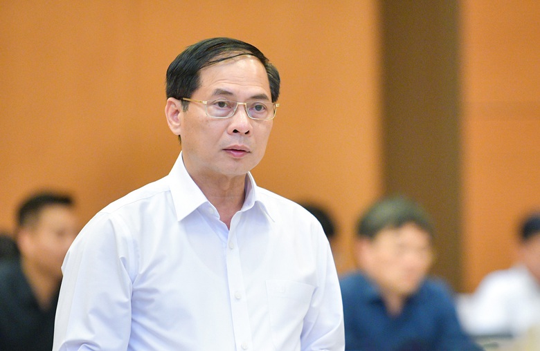 Bộ trưởng Bộ Ngoại giao B&ugrave;i Thanh Sơn giữ chức Ph&oacute; thủ tướng- Ảnh 1.