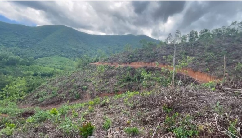 Nh&oacute;m người bỏ chạy khi thấy tổ c&ocirc;ng t&aacute;c, ph&aacute;t hiện gần 6ha rừng bị ph&aacute; tại hiện trường- Ảnh 1.