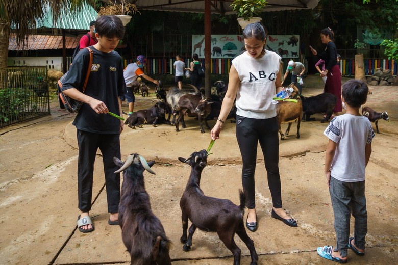 Du kh&aacute;ch chơi g&igrave; ở TP.HCM dịp nghỉ lễ 2/9?- Ảnh 4.