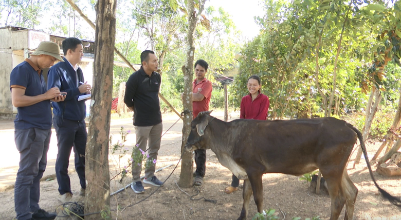 Kon Tum: Kỷ luật chủ tịch x&atilde; li&ecirc;n quan vụ cấp b&ograve; h&oacute;a b&ecirc;- Ảnh 1.