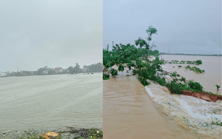 H&agrave; Nội: Tr&agrave;n bờ bao c&aacute;nh đồng ở S&oacute;c Sơn, h&agrave;ng trăm h&eacute;c ta l&uacute;a bị nhấn ch&igrave;m- Ảnh 1.