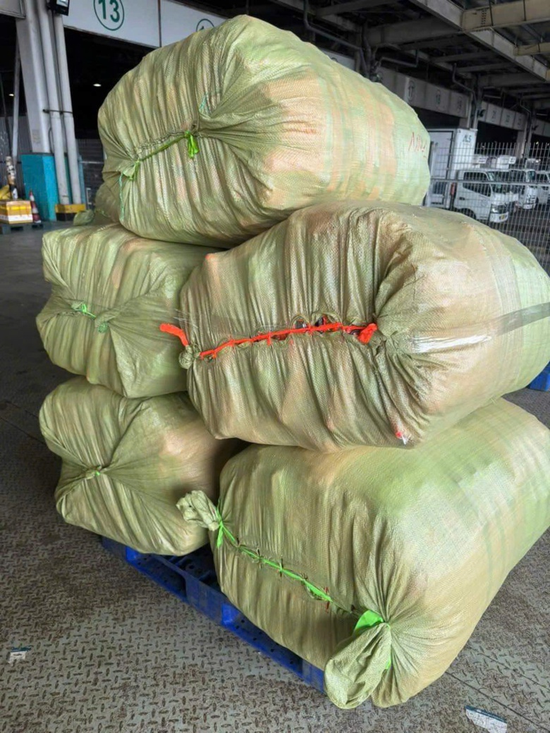 Tấm l&ograve;ng người d&acirc;n TP.HCM hướng về miền Bắc- Ảnh 4.