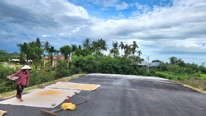 Dự &aacute;n đường ven biển ngh&igrave;n tỷ ở Quảng Ng&atilde;i ngổn ngang v&igrave; vướng mặt bằng- Ảnh 4.