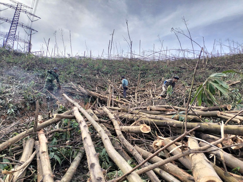 Quảng Ninh d&agrave;nh 1.000 tỷ đồng từ nguồn tiết kiệm để khắc phục hậu quả b&atilde;o số 3- Ảnh 3.