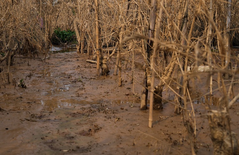L&agrave;ng đ&agrave;o Nhật T&acirc;n tan hoang sau b&atilde;o, người d&acirc;n lo mất trắng vụ Tết- Ảnh 5.