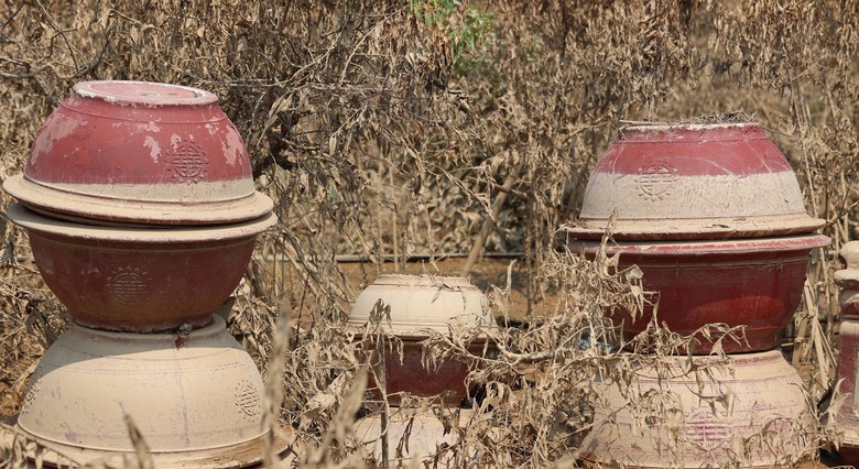 L&agrave;ng đ&agrave;o Nhật T&acirc;n tan hoang sau b&atilde;o, người d&acirc;n lo mất trắng vụ Tết- Ảnh 8.