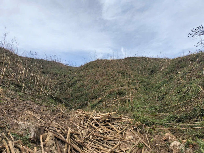 Quảng Ninh triển khai đề &aacute;n kh&ocirc;i phục, t&aacute;i thiết kinh tế sau b&atilde;o- Ảnh 1.