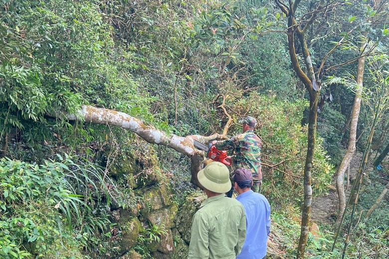 Quảng Ninh cách nào "thần tốc" phục hồi du lịch sau bão Yagi?- Ảnh 3. Quảng Ninh cách nào "thần tốc" phục hồi du lịch sau bão Yagi?- Ảnh 3.