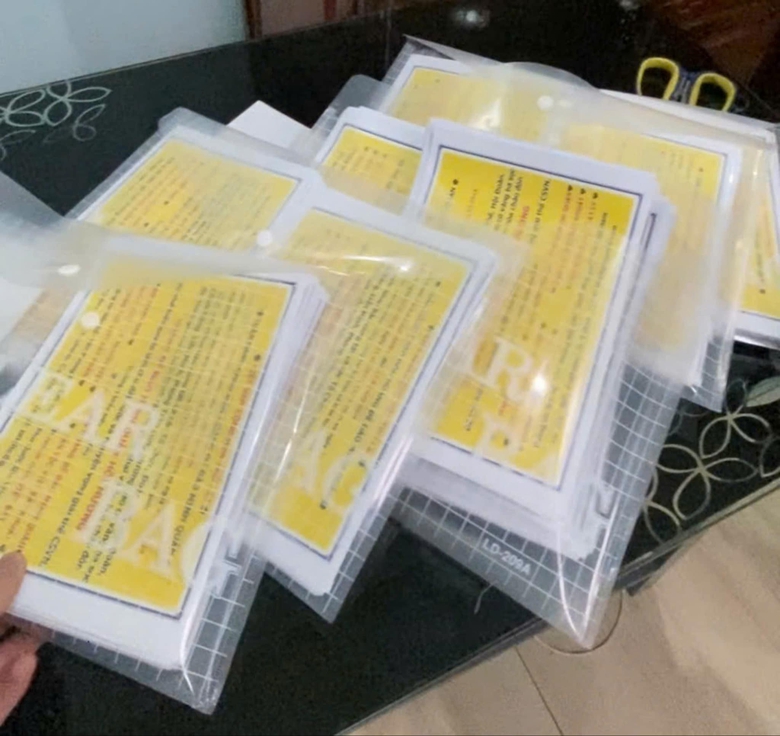 TP.HCM: Khởi tố, bắt tạm giam hai đối tượng c&oacute; hoạt động lật đổ ch&iacute;nh quyền- Ảnh 2.