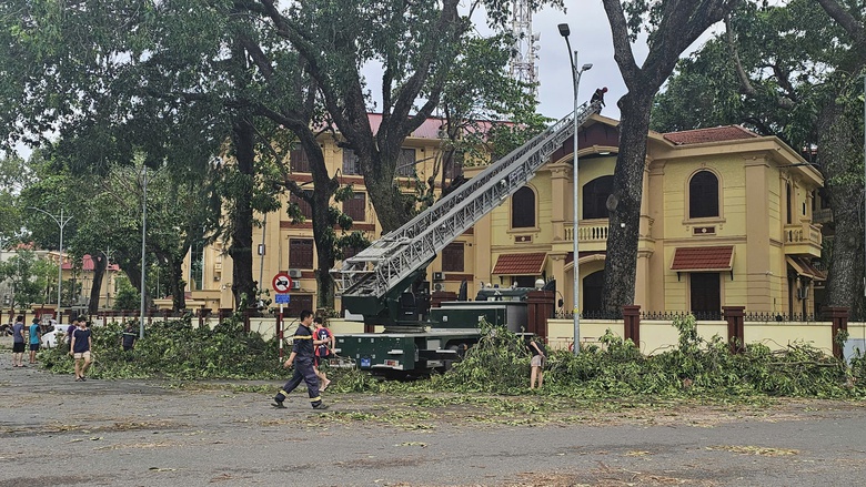 Hải Ph&ograve;ng xử l&yacute; hơn 1.000 sự cố về biển b&aacute;o, thiết bị ATGT hư hỏng do b&atilde;o- Ảnh 2.