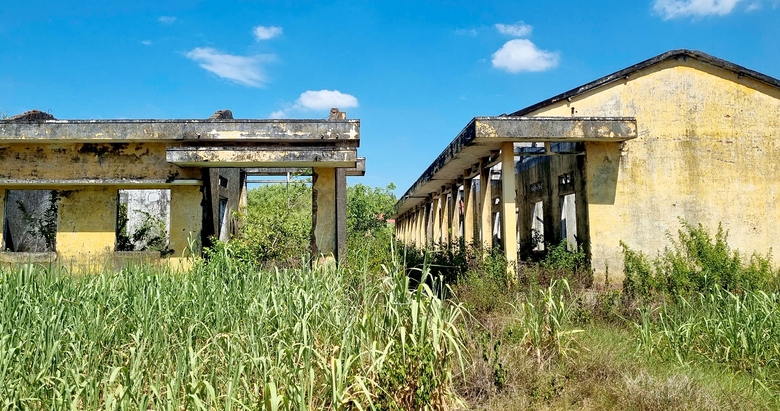 Quảng Ng&atilde;i: Hoang t&agrave;n khu t&aacute;i định cư kiểu mẫu- Ảnh 3.