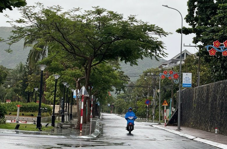 Chuyển mục đích 1,92ha đất rừng đặc dụng để xây dựng nhà máy xử lý rác tại Côn Đảo- Ảnh 1. Chuyển mục đích 1,92ha đất rừng đặc dụng để xây dựng nhà máy xử lý rác tại Côn Đảo- Ảnh 1.