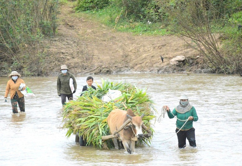 X&acirc;y dựng 87 c&acirc;y cầu treo cho đồng b&agrave;o v&ugrave;ng s&acirc;u- Ảnh 2.