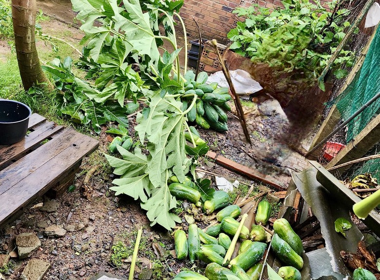 Mưa k&egrave;m gi&oacute; lốc l&agrave;m nh&agrave; tốc m&aacute;i, đổ trụ điện ở Đồng Nai- Ảnh 7.