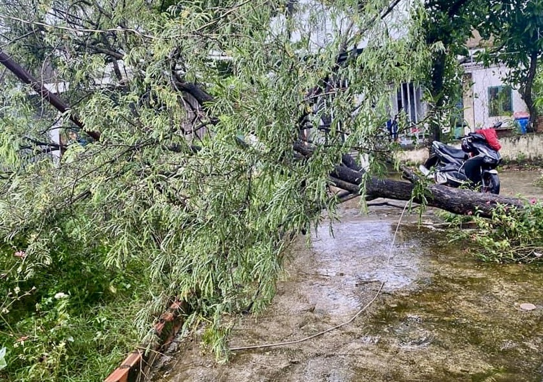 Mưa k&egrave;m gi&oacute; lốc l&agrave;m nh&agrave; tốc m&aacute;i, đổ trụ điện ở Đồng Nai- Ảnh 6.