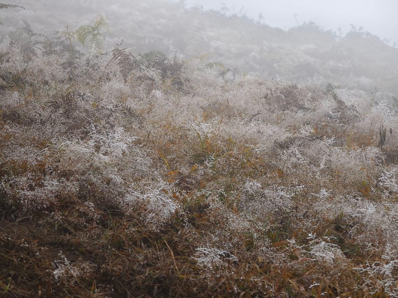 Xuất hiện băng gi&aacute; v&agrave; sương muối tại v&ugrave;ng cao L&agrave;o Cai, Y&ecirc;n B&aacute;i- Ảnh 5.